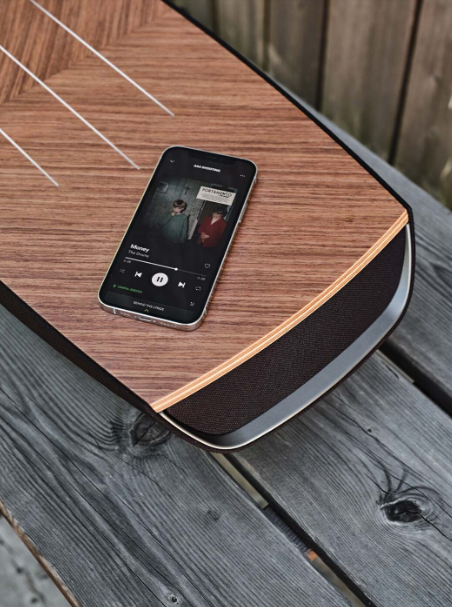 Sonus Faber Omnia Wireless Speaker with Phono Stage