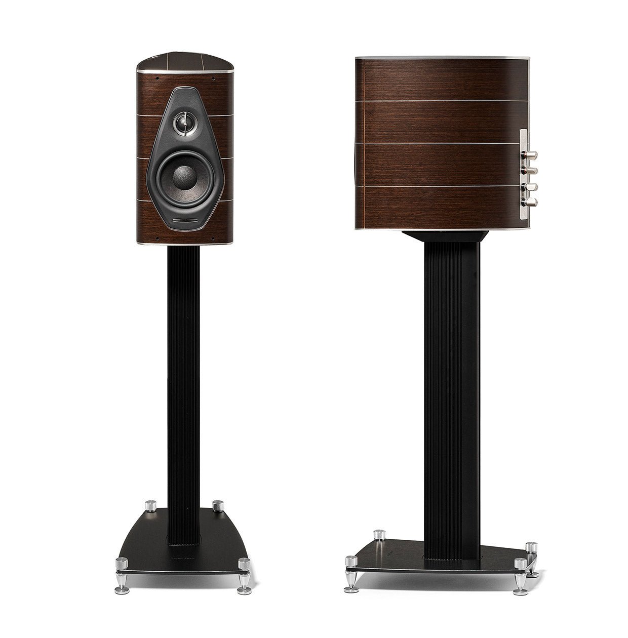 Sonus hotsell faber monitor