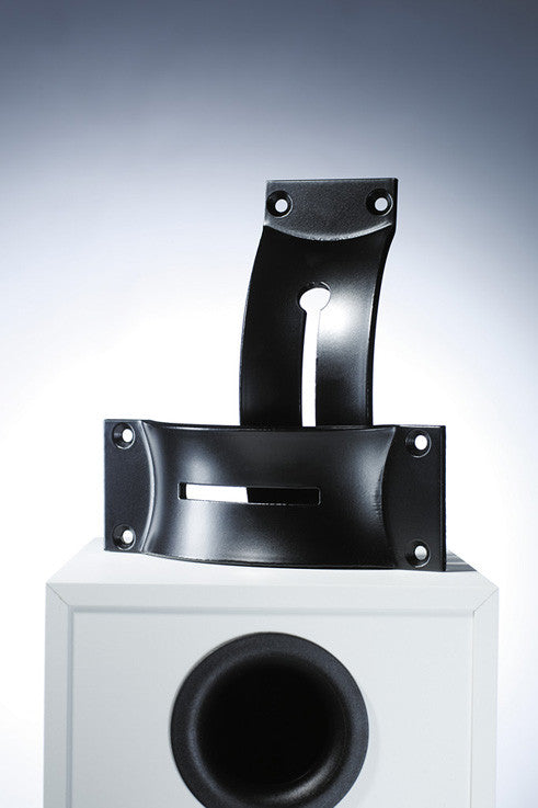 Tower speaker shop wall mount